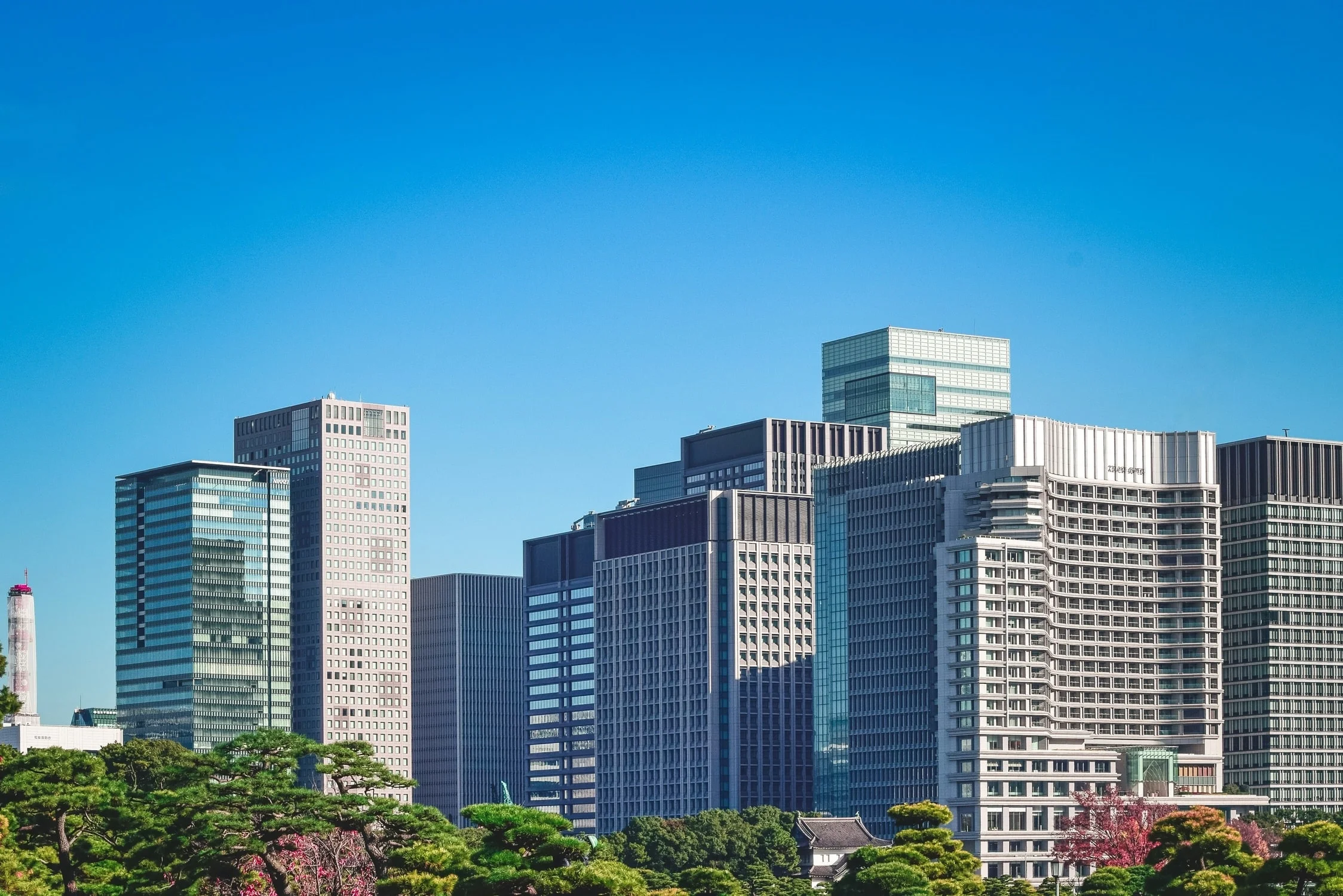 Professional Business Environment